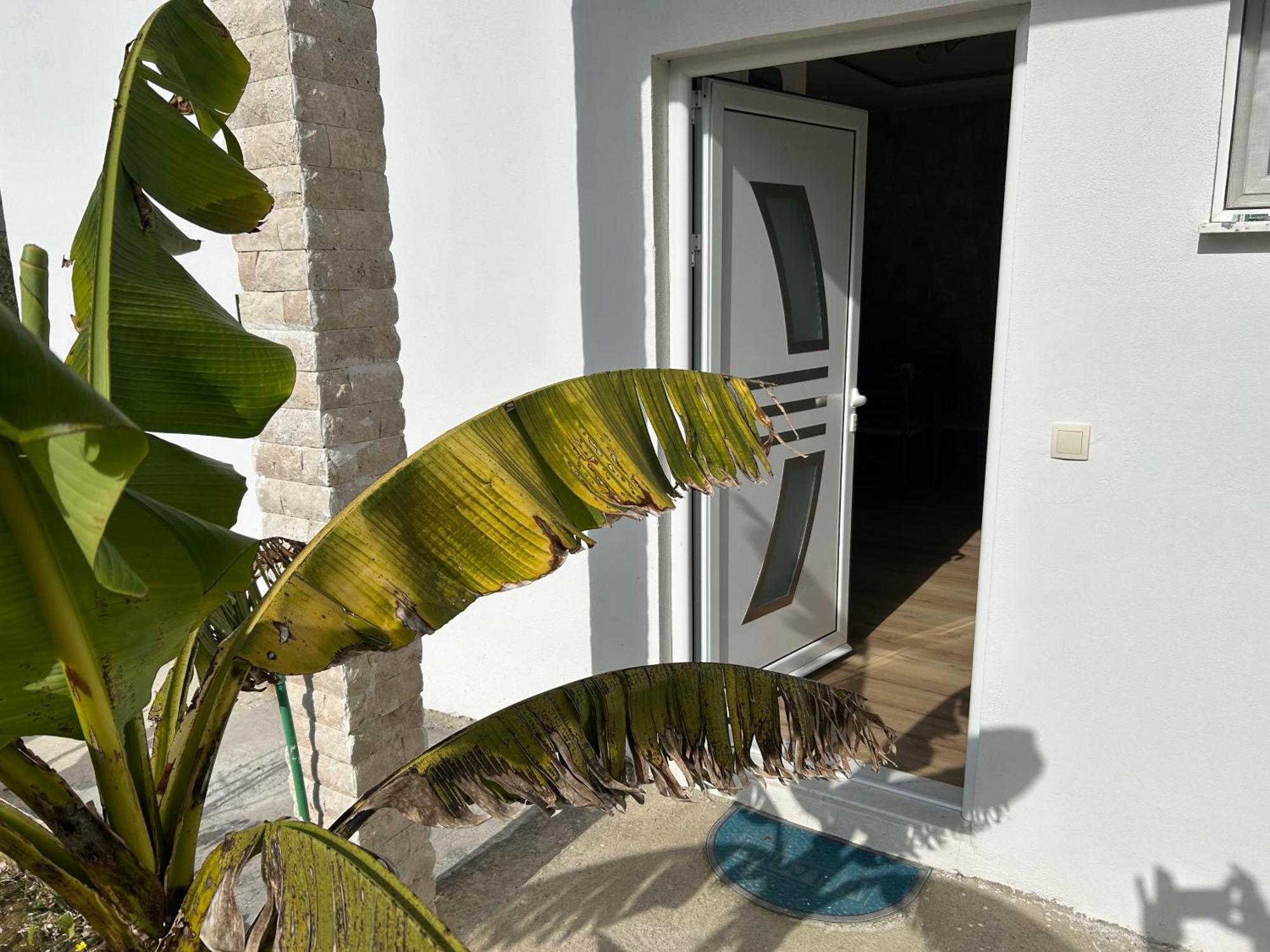 Medo Privatunterkunft Ulcinj